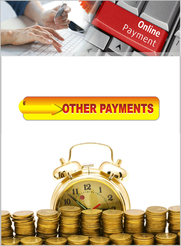 DUE PAYMENTS